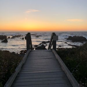 Meet your Posher, Lizzy